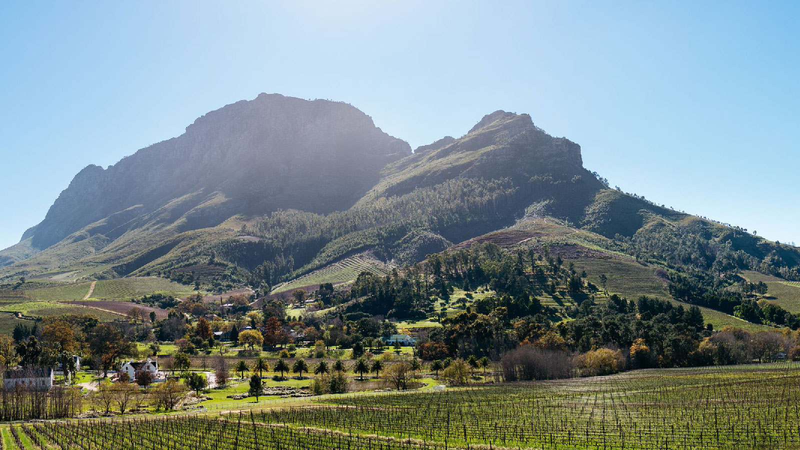 Hospitality editorial hero